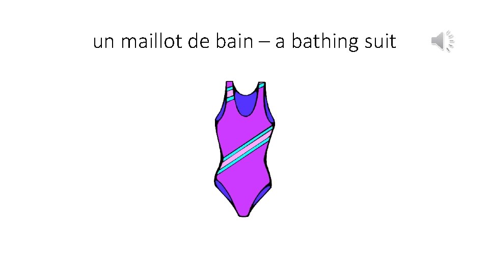 un maillot de bain – a bathing suit 