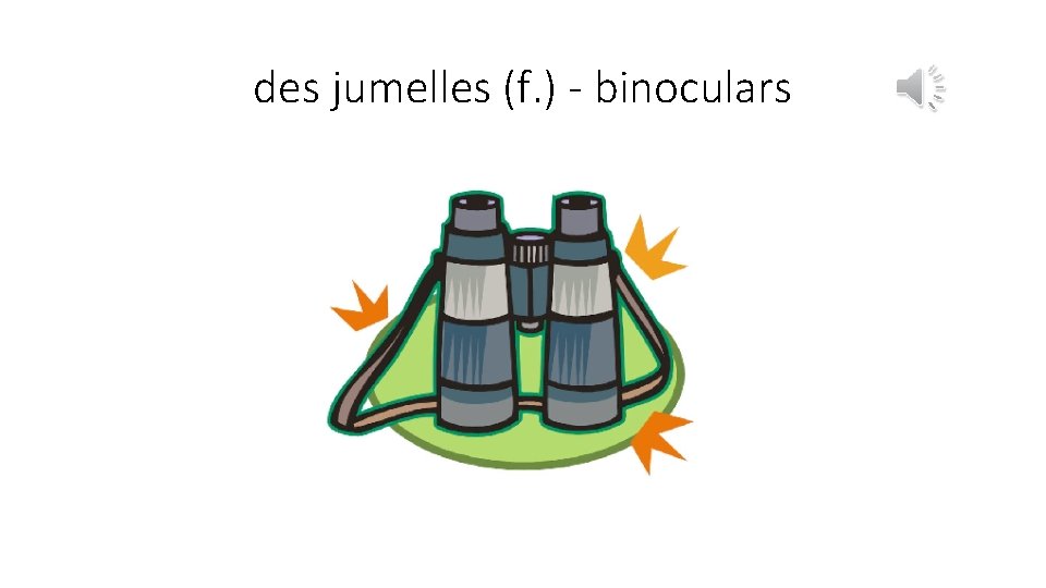des jumelles (f. ) - binoculars 