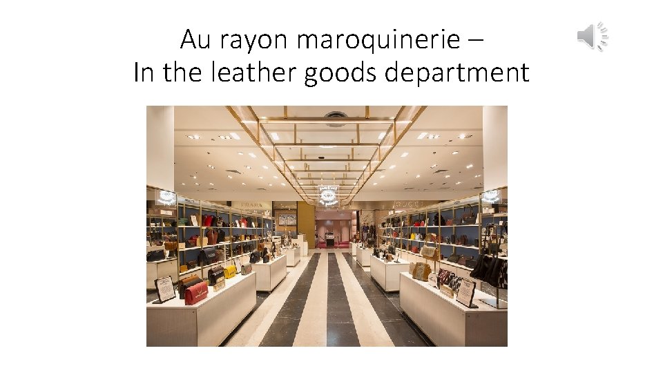 Au rayon maroquinerie – In the leather goods department 