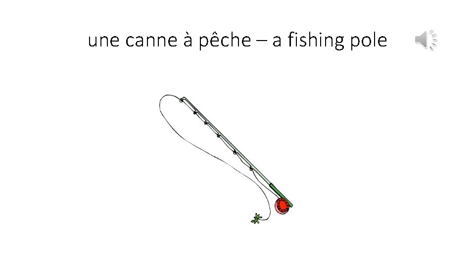 une canne à pêche – a fishing pole 