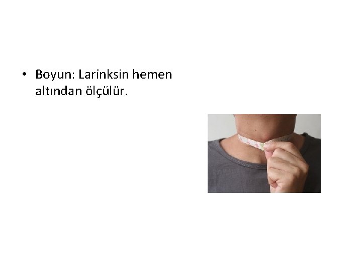  • Boyun: Larinksin hemen altından ölçülür. 