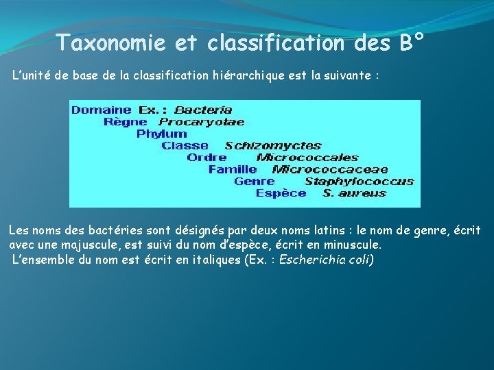 Taxonomie et classification des B° L’unité de base de la classification hiérarchique est la