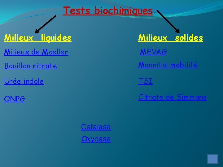 Tests biochimiques Milieux liquides Milieux solides Milieux de Moeller MEVAG Bouillon nitrate Mannitol mobilité