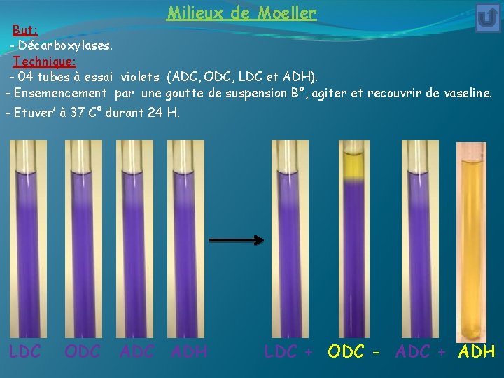 Milieux de Moeller But: - Décarboxylases. Technique: - 04 tubes à essai violets (ADC,