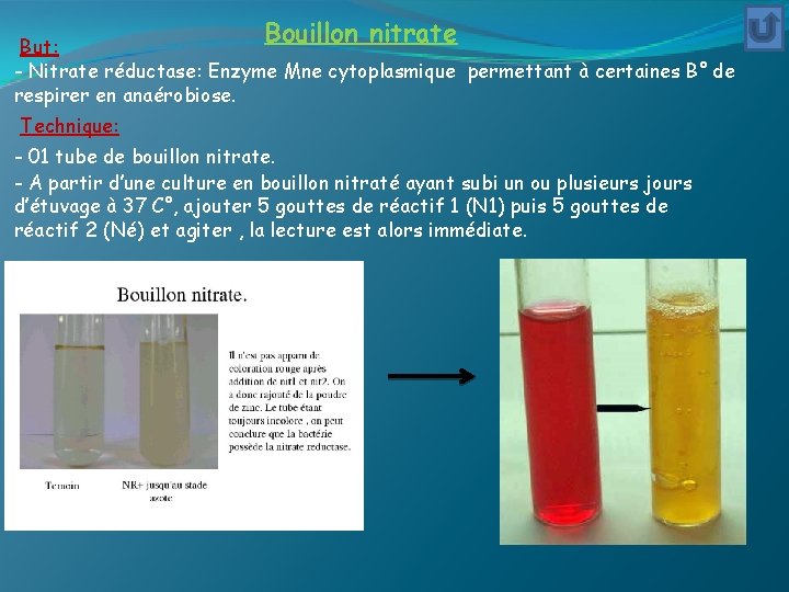 Bouillon nitrate But: - Nitrate réductase: Enzyme Mne cytoplasmique permettant à certaines B° de