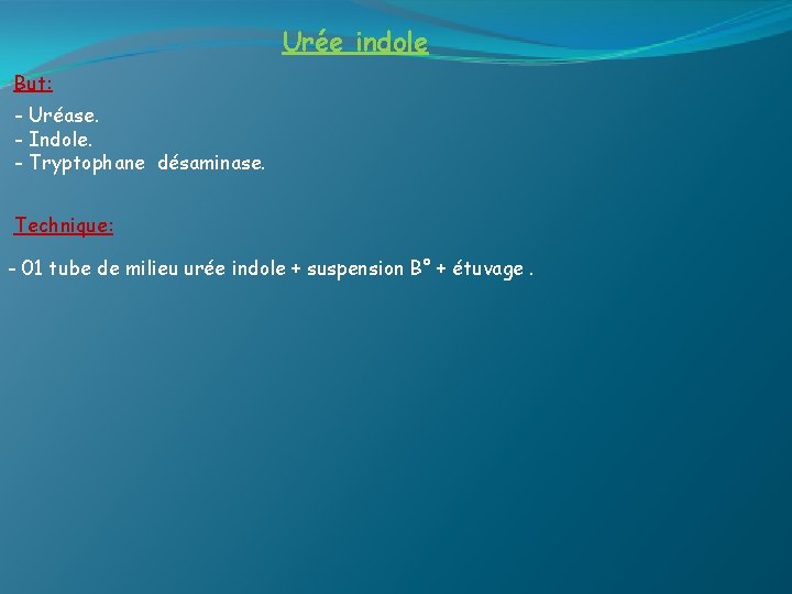 Urée indole But: - Uréase. - Indole. - Tryptophane désaminase. Technique: - 01 tube