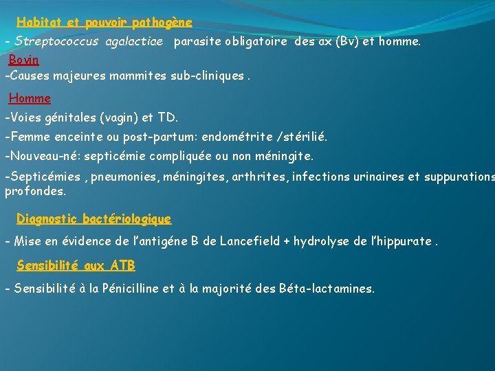 Habitat et pouvoir pathogène - Streptococcus agalactiae parasite obligatoire des ax (Bv) et homme.