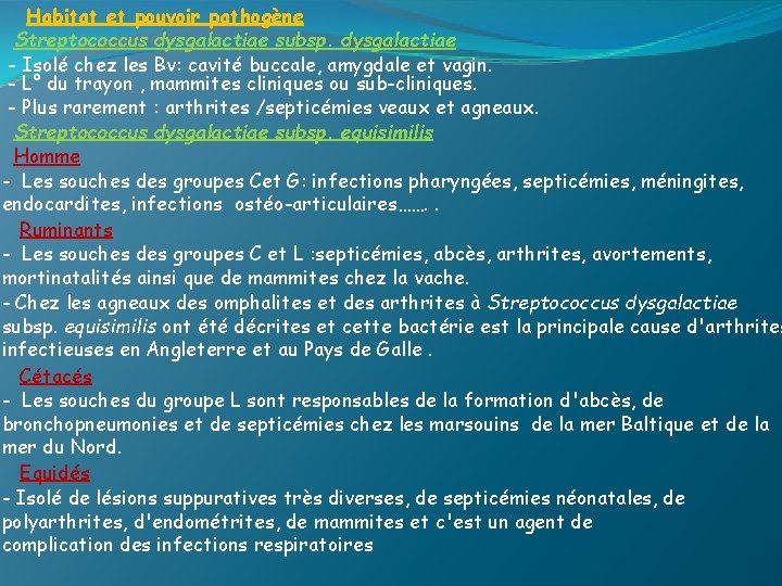 Habitat et pouvoir pathogène Streptococcus dysgalactiae subsp. dysgalactiae - Isolé chez les Bv: cavité