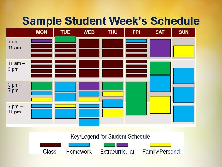 Sample Student Week’s Schedule 
