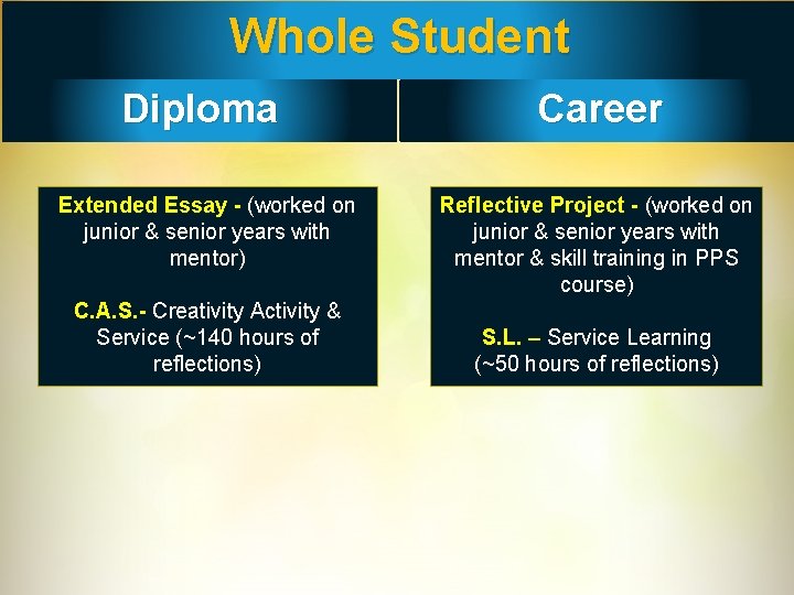 Whole Student Diploma Extended Essay - (worked on junior & senior years with mentor)
