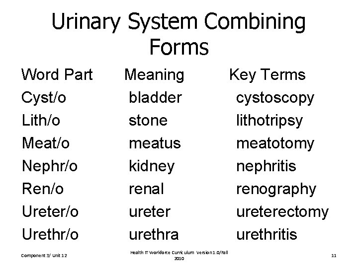 Urinary System Combining Forms Word Part Cyst/o Lith/o Meat/o Nephr/o Ren/o Ureter/o Urethr/o Component Urinary System Combining Forms Word Part Cyst/o Lith/o Meat/o Nephr/o Ren/o Ureter/o Urethr/o Component