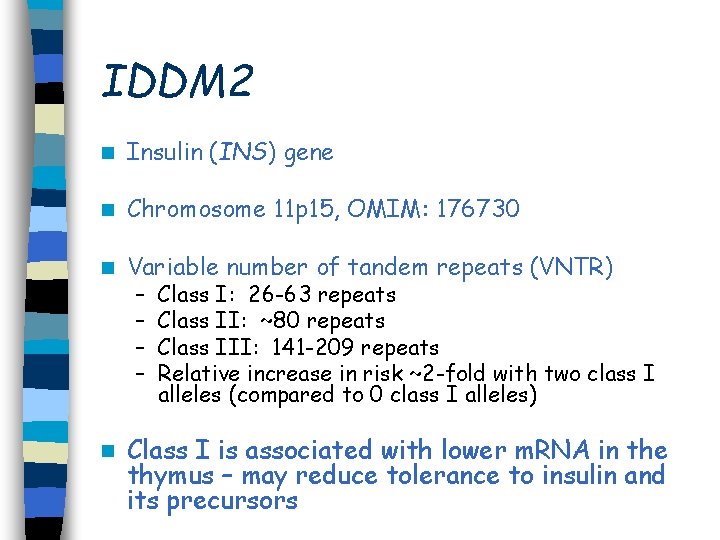 IDDM 2 n Insulin (INS) gene n Chromosome 11 p 15, OMIM: 176730 n