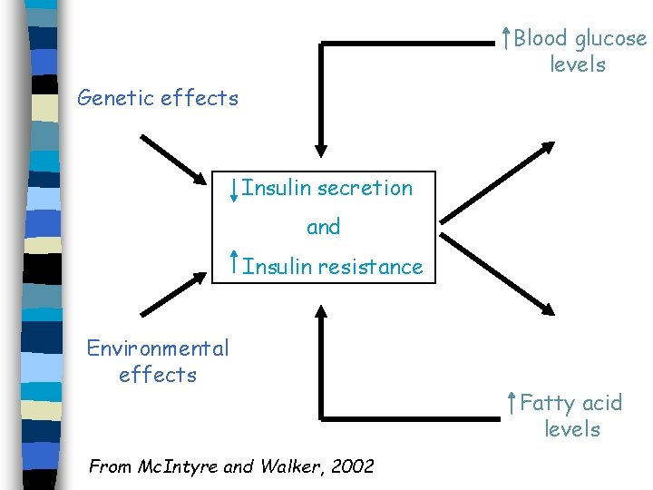 Blood glucose levels Genetic effects Insulin secretion and Insulin resistance Environmental effects From Mc.
