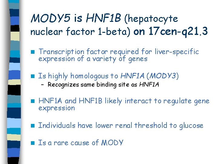 MODY 5 is HNF 1 B (hepatocyte nuclear factor 1 -beta) on 17 cen-q