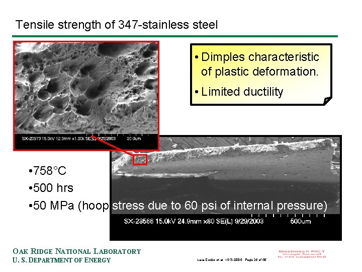 Tensile strength of 347 -stainless steel • Dimples characteristic of plastic deformation. • Limited