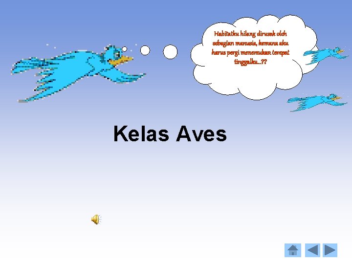 Habitatku hilang dirusak oleh sebagian manusia, kemana aku harus pergi menemukan tempat tinggalku…? ?