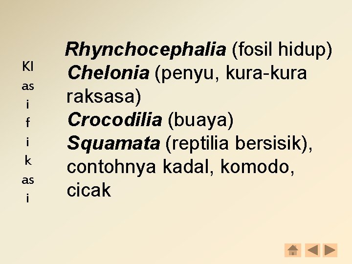 Kl as i f i k as i Rhynchocephalia (fosil hidup) Chelonia (penyu, kura-kura