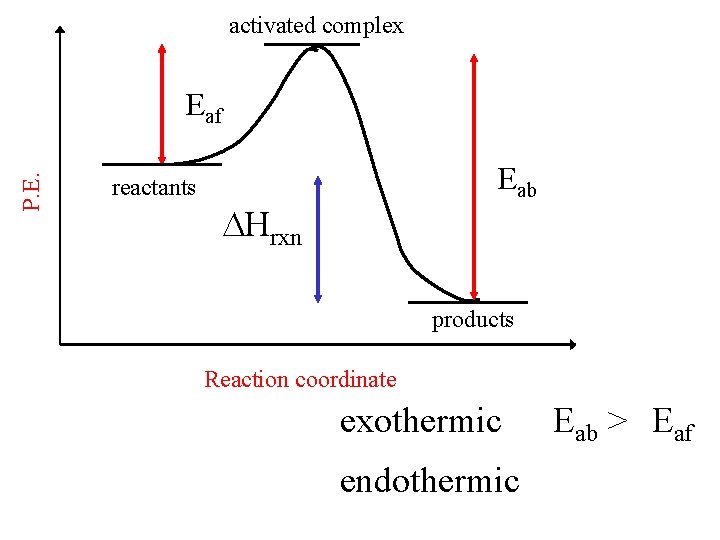 activated complex P. E. Eaf reactants Eab Hrxn products Reaction coordinate exothermic endothermic Eab