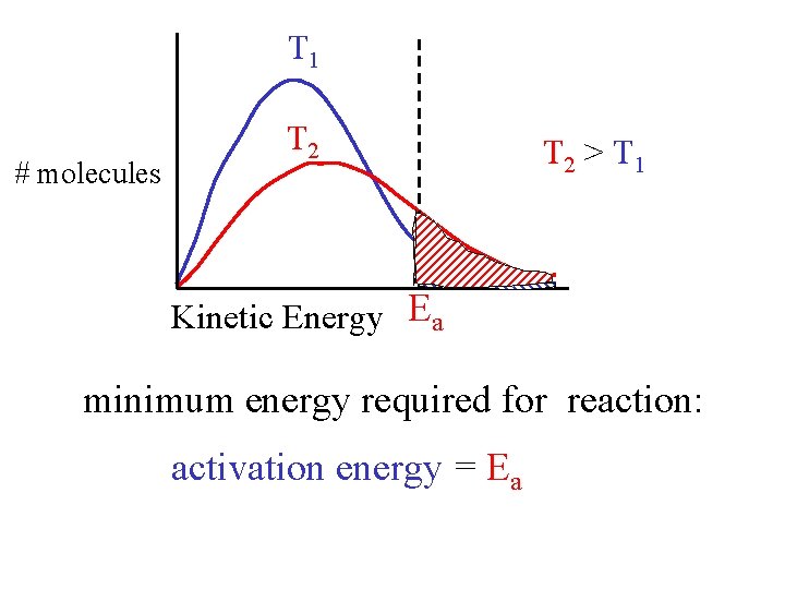 T 1 # molecules T 2 > T 1 Kinetic Energy Ea minimum energy