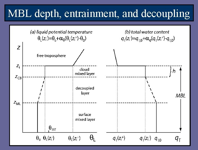 MBL depth, entrainment, and decoupling 
