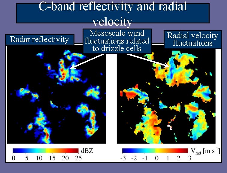 C-band reflectivity and radial velocity Radar reflectivity Mesoscale wind fluctuations related to drizzle cells