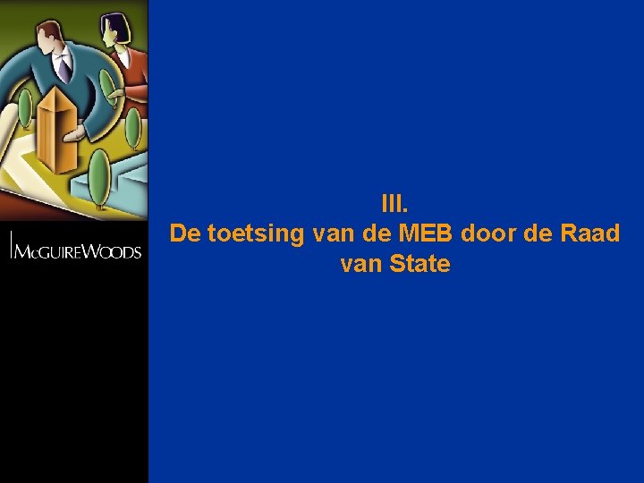 III. De toetsing van de MEB door de Raad van State 