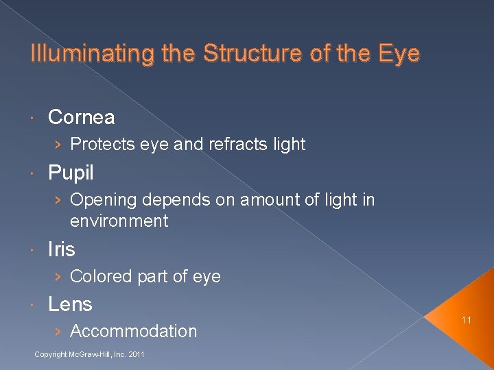 Illuminating the Structure of the Eye Cornea › Protects eye and refracts light Pupil