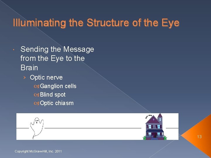 Illuminating the Structure of the Eye Sending the Message from the Eye to the