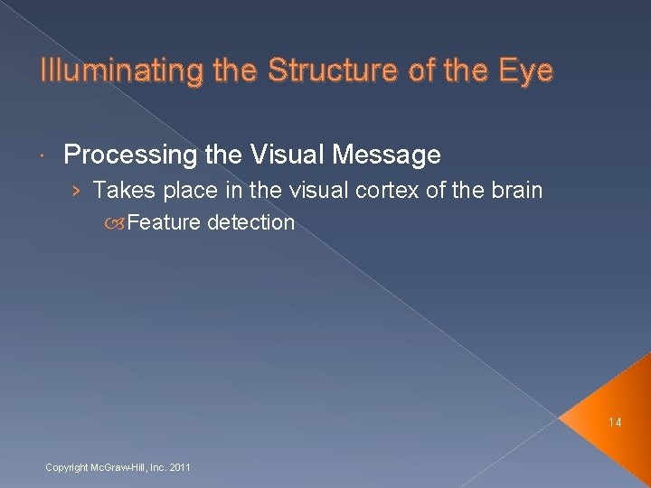 Illuminating the Structure of the Eye Processing the Visual Message › Takes place in