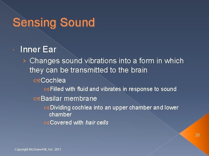 Sensing Sound Inner Ear › Changes sound vibrations into a form in which they