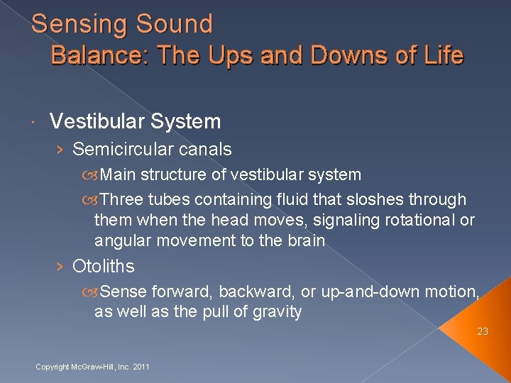 Sensing Sound Balance: The Ups and Downs of Life Vestibular System › Semicircular canals