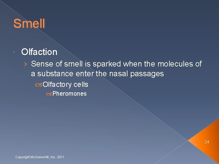 Smell Olfaction › Sense of smell is sparked when the molecules of a substance