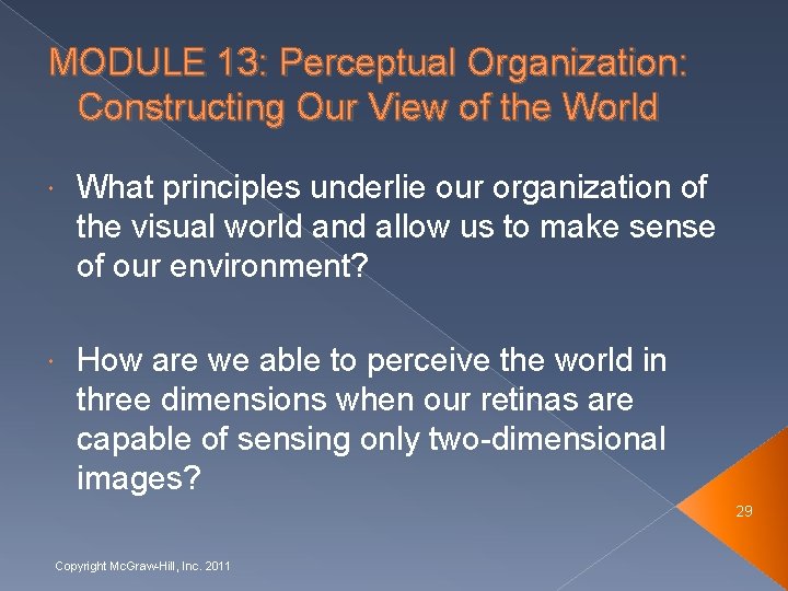 MODULE 13: Perceptual Organization: Constructing Our View of the World What principles underlie our