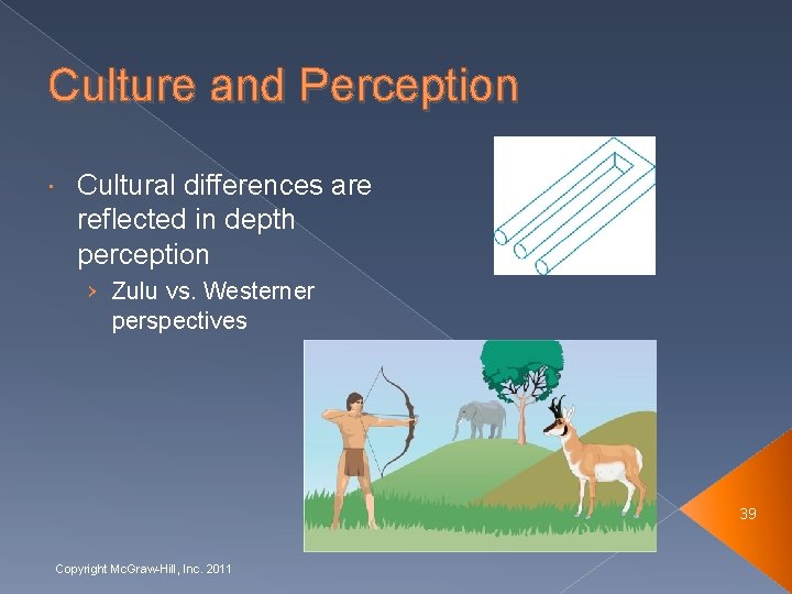 Culture and Perception Cultural differences are reflected in depth perception › Zulu vs. Westerner