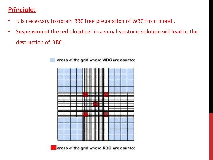 Principle: • It is necessary to obtain RBC free preparation of WBC from blood.