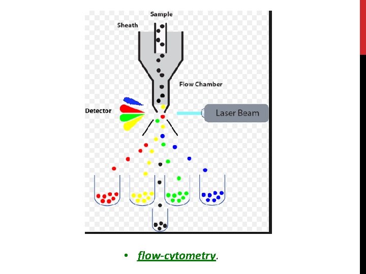  • flow-cytometry. 
