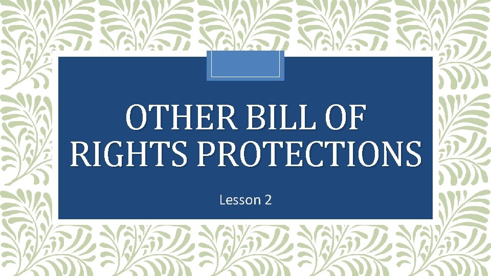 OTHER BILL OF RIGHTS PROTECTIONS Lesson 2 