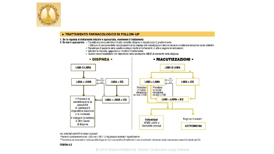 © 2017 Global Initiative for Chronic Obstructive Lung Disease © 2019 Global Initiative for