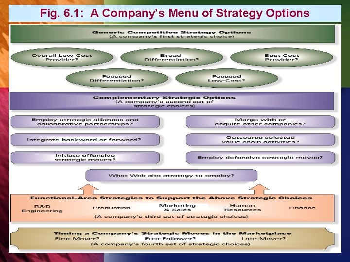 Fig. 6. 1: A Company’s Menu of Strategy Options 