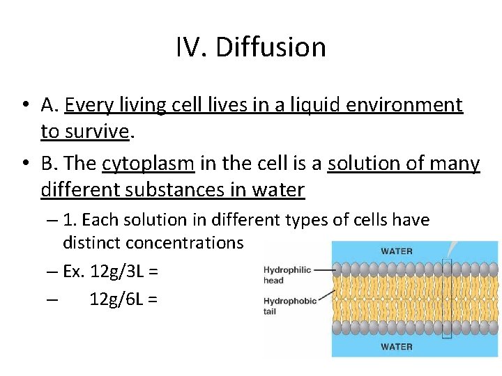 IV. Diffusion • A. Every living cell lives in a liquid environment to survive.