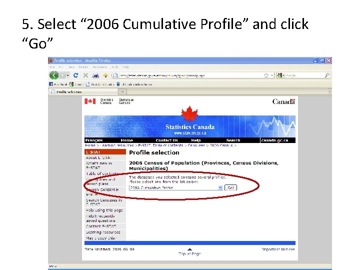 5. Select “ 2006 Cumulative Profile” and click “Go” 