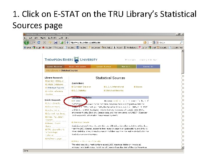 1. Click on E-STAT on the TRU Library’s Statistical Sources page 