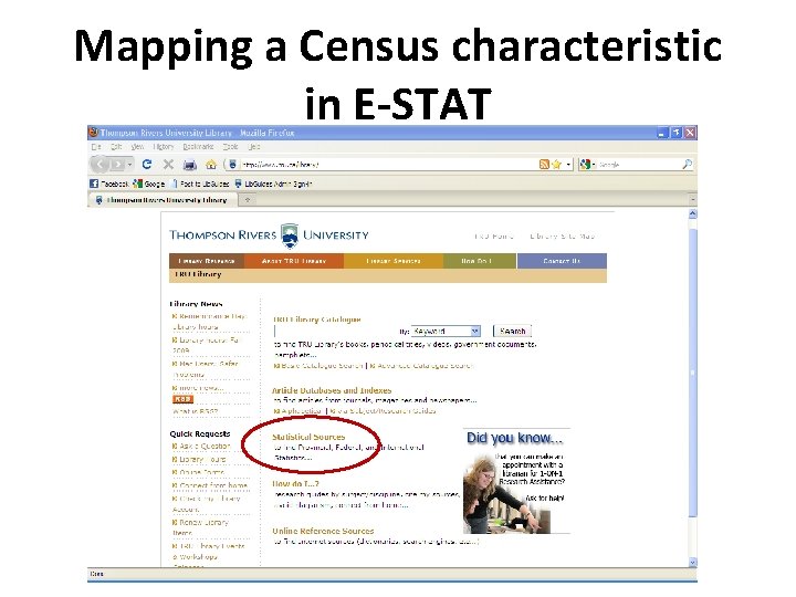 Mapping a Census characteristic in E-STAT 
