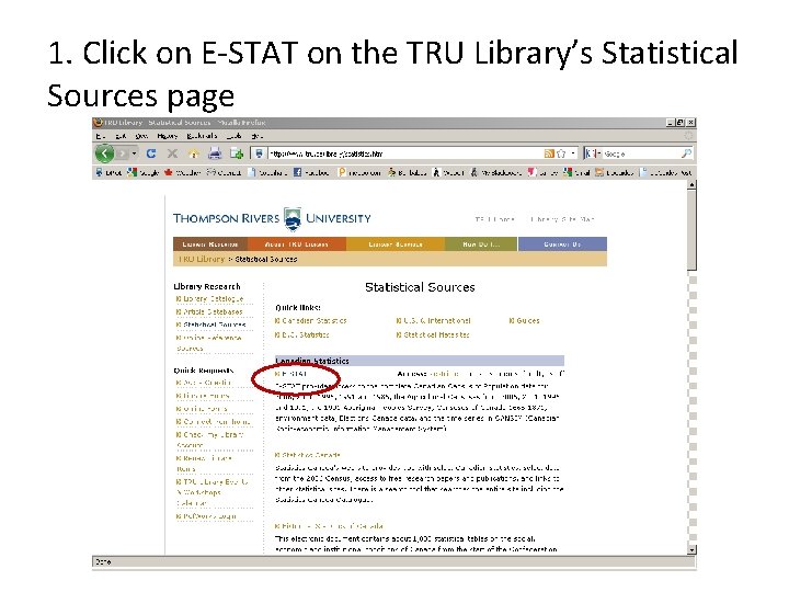 1. Click on E-STAT on the TRU Library’s Statistical Sources page 
