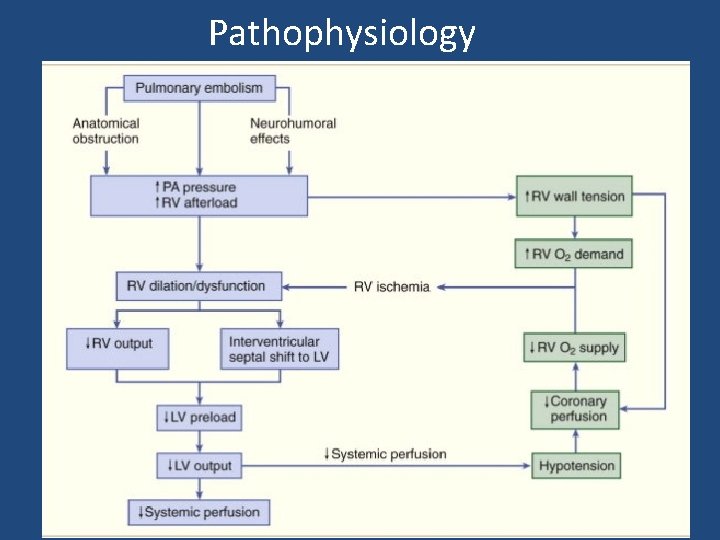 Pathophysiology 