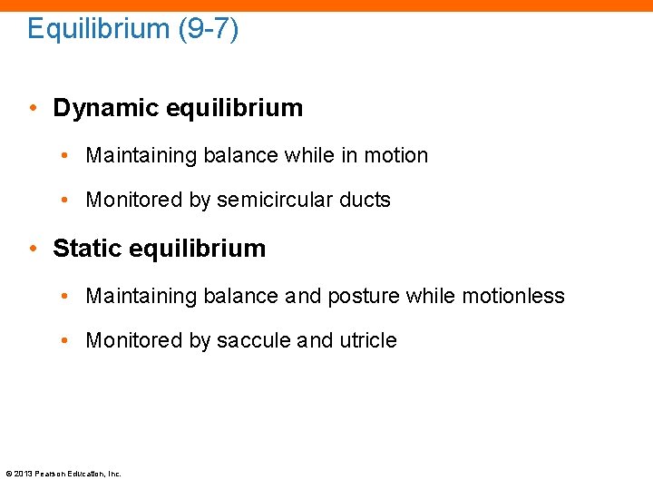 Equilibrium (9 -7) • Dynamic equilibrium • Maintaining balance while in motion • Monitored