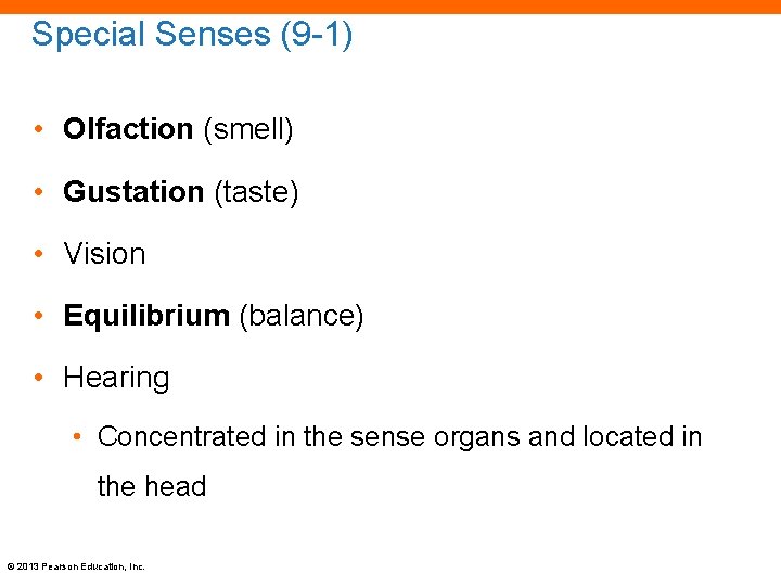 Special Senses (9 -1) • Olfaction (smell) • Gustation (taste) • Vision • Equilibrium