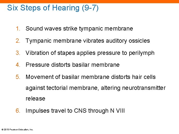 Six Steps of Hearing (9 -7) 1. Sound waves strike tympanic membrane 2. Tympanic