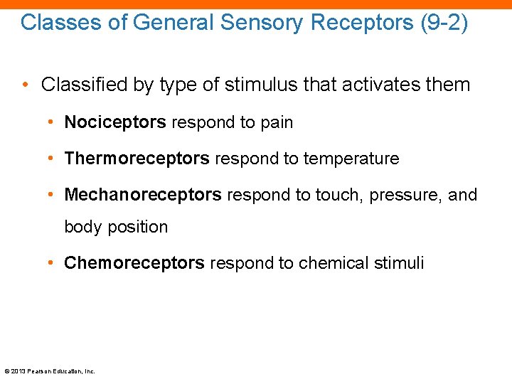 Classes of General Sensory Receptors (9 -2) • Classified by type of stimulus that