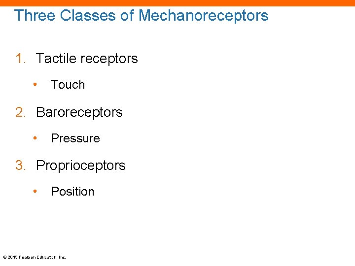 Three Classes of Mechanoreceptors 1. Tactile receptors • Touch 2. Baroreceptors • Pressure 3.